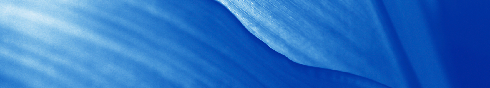 Perpetual Institutional Cash Management Trust