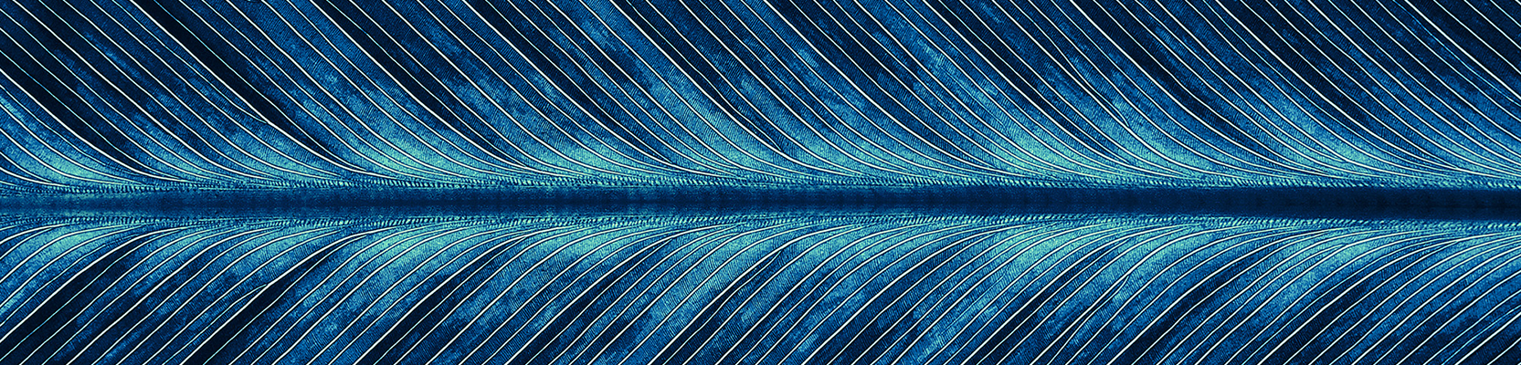 Perpetual Credit Income Trust