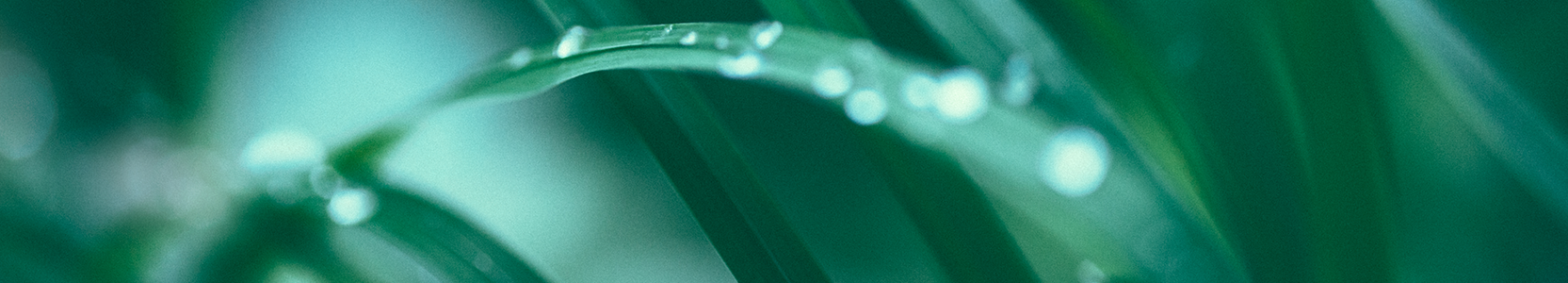 Global Equity Trust distribution components